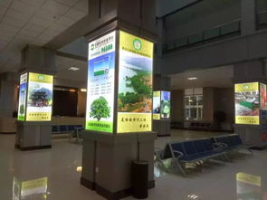 青海西宁雄盛灯箱厂 以品质与诚信点亮旅游服务新篇章