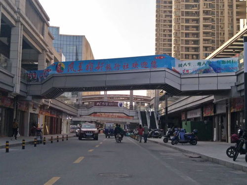 节日奋斗，风景独好——广信营业部盛大开业，多重优惠产品倾情上线